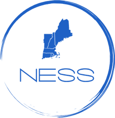 New England Smart Systems